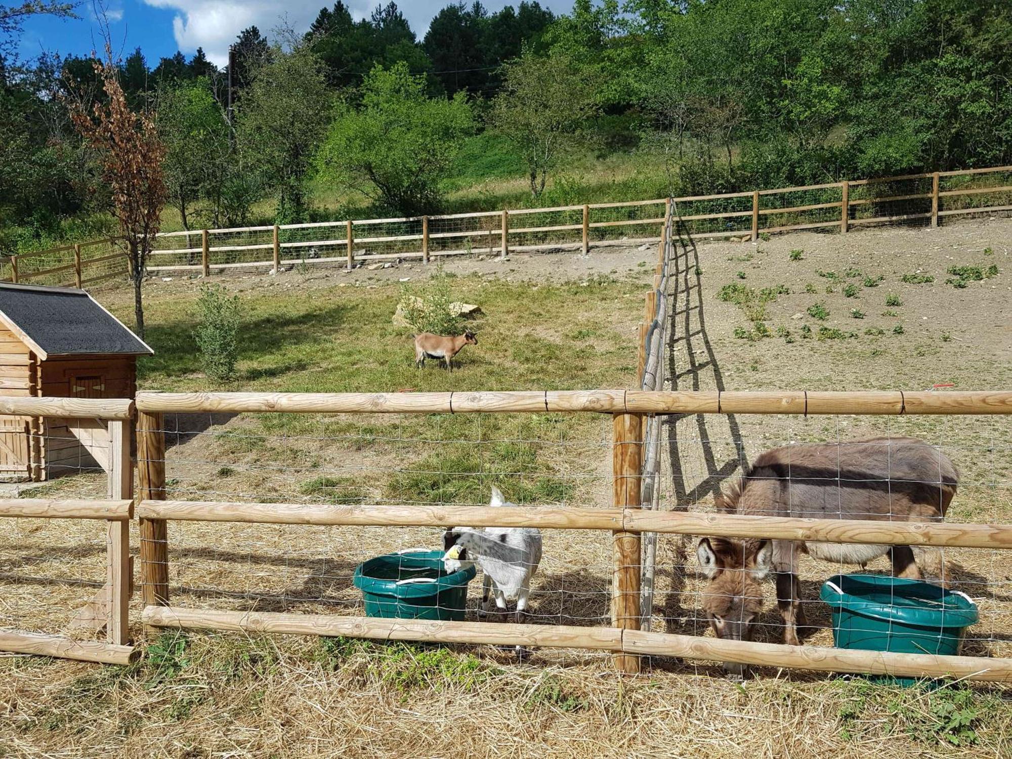 Camping La Ferme De Castellane Exterior foto