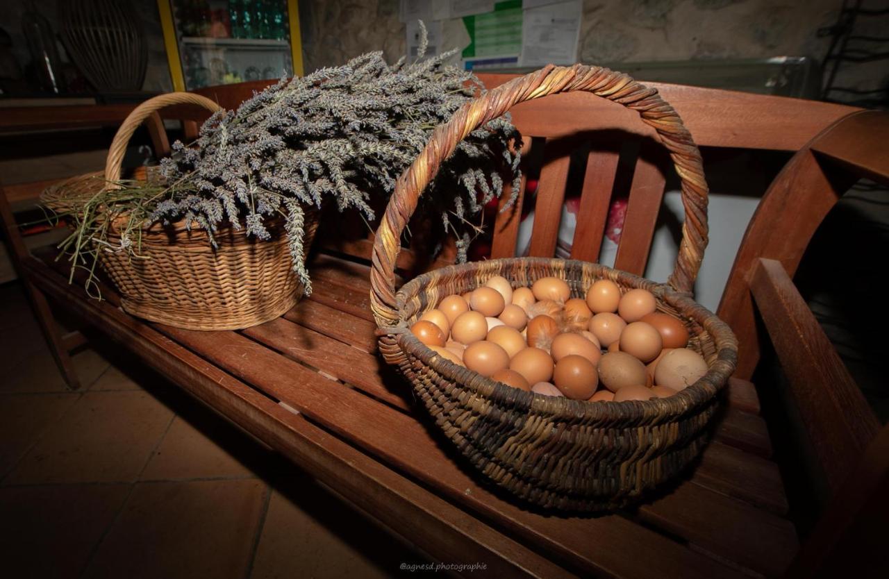 Camping La Ferme De Castellane Exterior foto
